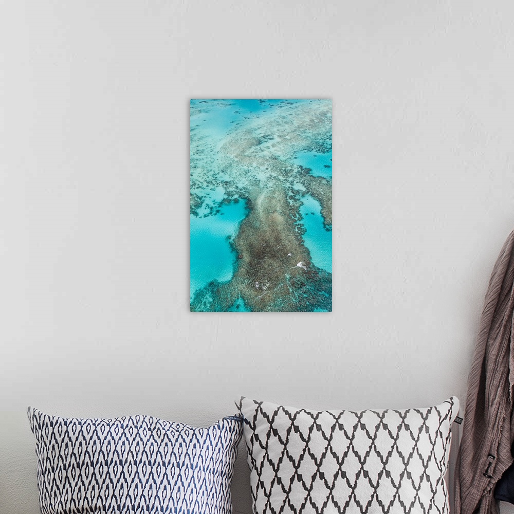A bohemian room featuring The Great Barrier Reef , the largest reef system in the world.