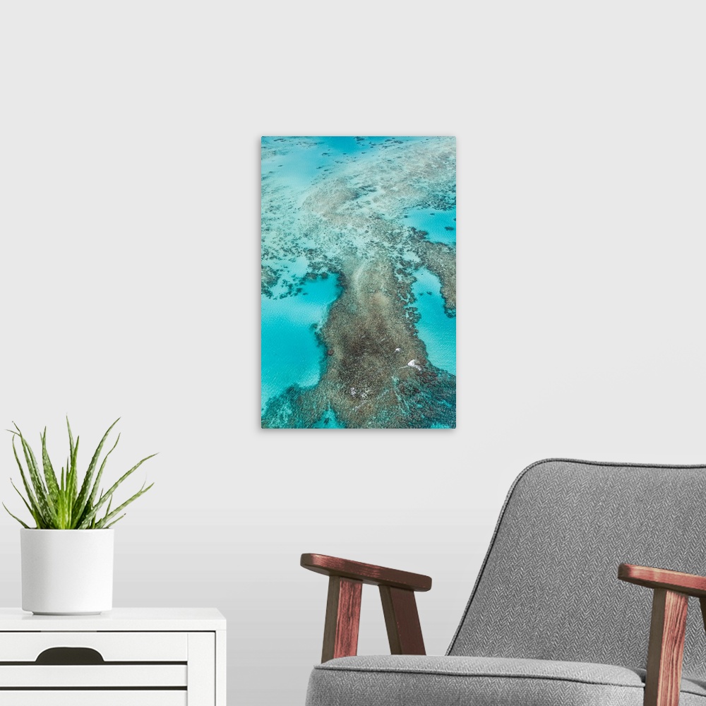 A modern room featuring The Great Barrier Reef , the largest reef system in the world.