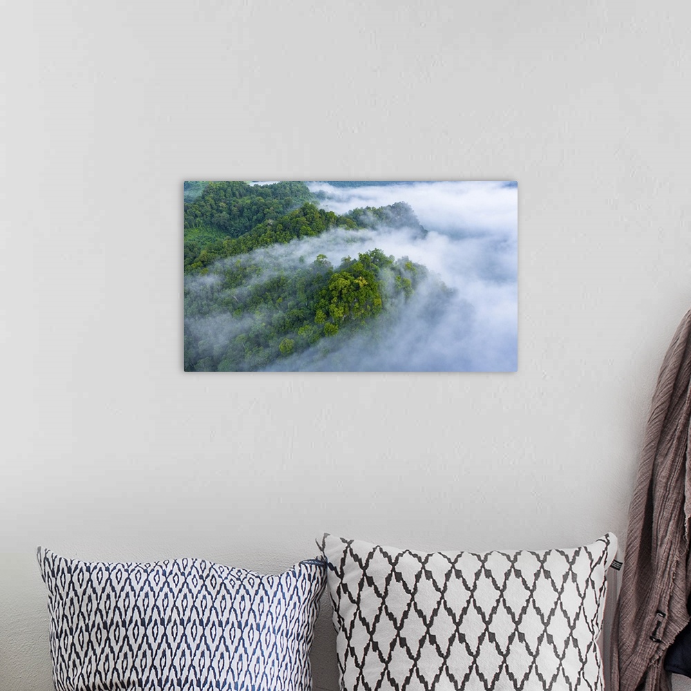 A bohemian room featuring Aerial view of morning mist at tropical rainforest mountain, background of forest and mist, aeria...
