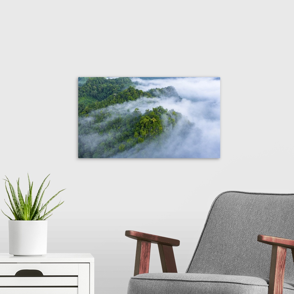 A modern room featuring Aerial view of morning mist at tropical rainforest mountain, background of forest and mist, aeria...