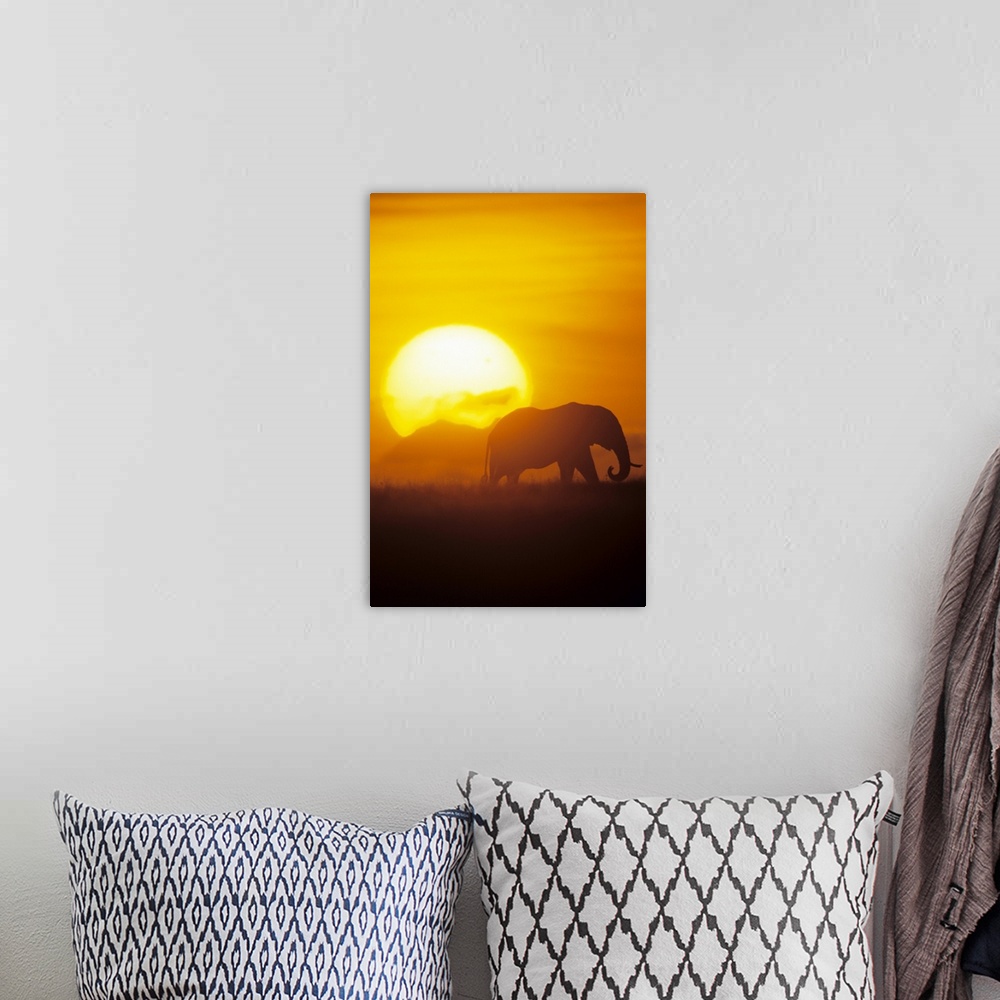A bohemian room featuring Vertical photo on canvas of the silohuete of an elephant walking through a field with a large sun...