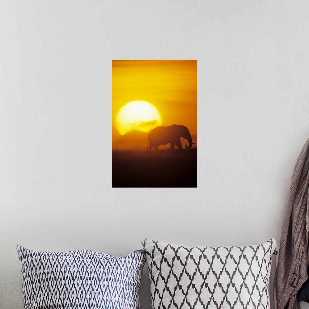A bohemian room featuring Vertical photo on canvas of the silohuete of an elephant walking through a field with a large sun...