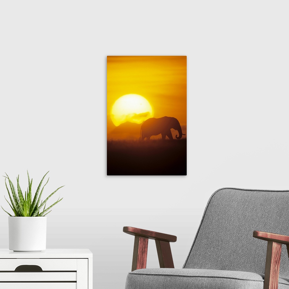 A modern room featuring Vertical photo on canvas of the silohuete of an elephant walking through a field with a large sun...