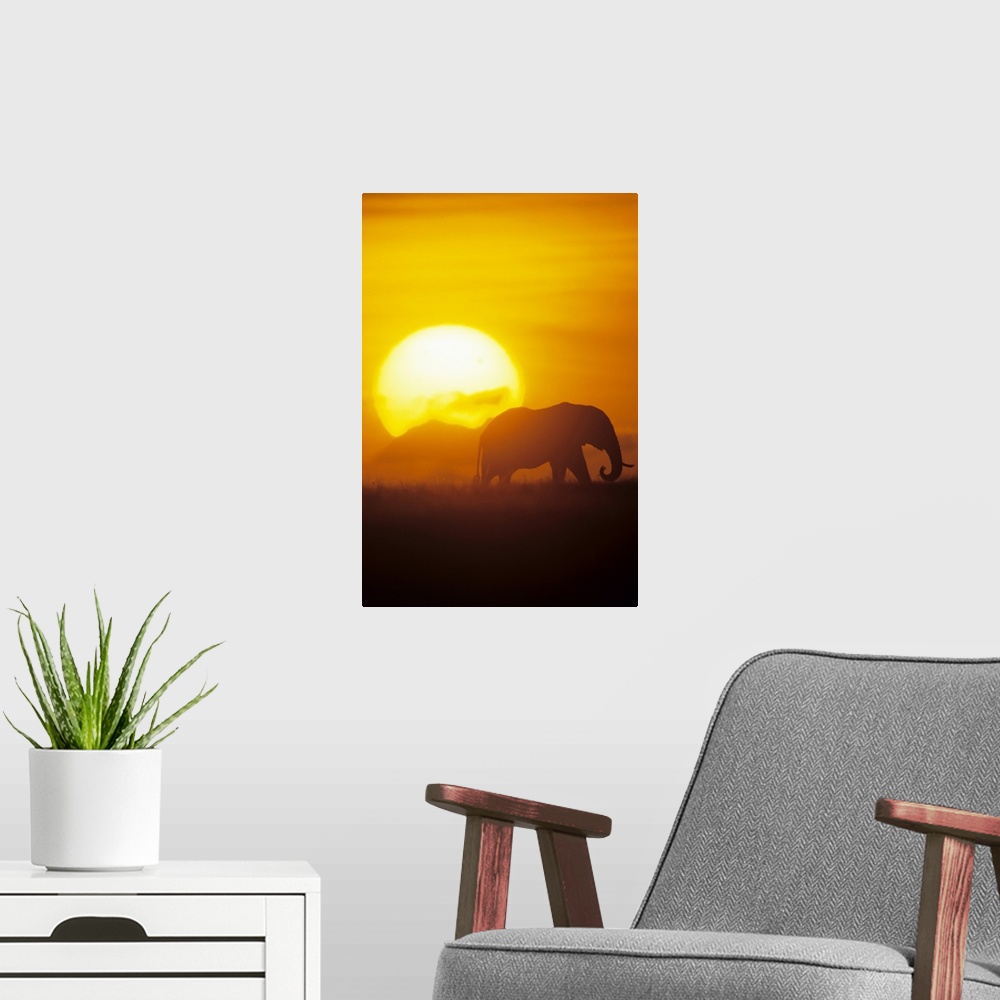 A modern room featuring Vertical photo on canvas of the silohuete of an elephant walking through a field with a large sun...
