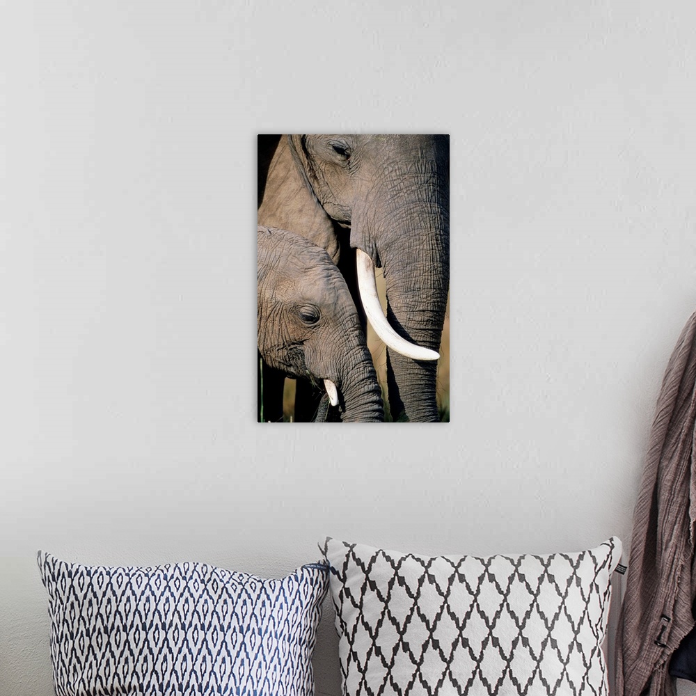 A bohemian room featuring A cow and calf African elephant stand together in Kenya's Masai Mara National Reserve.