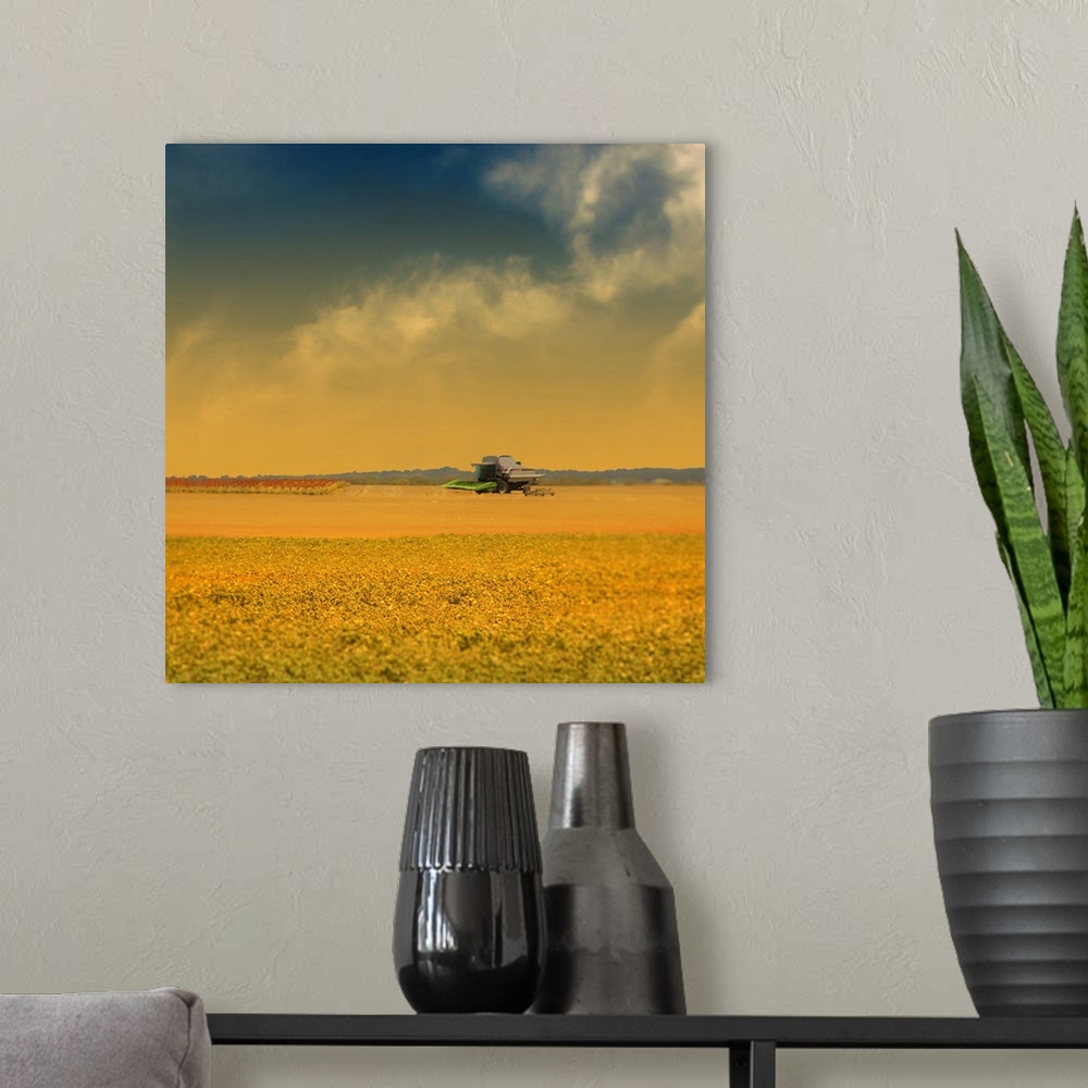 A modern room featuring Agricultural landscape at sunrise in Texas.