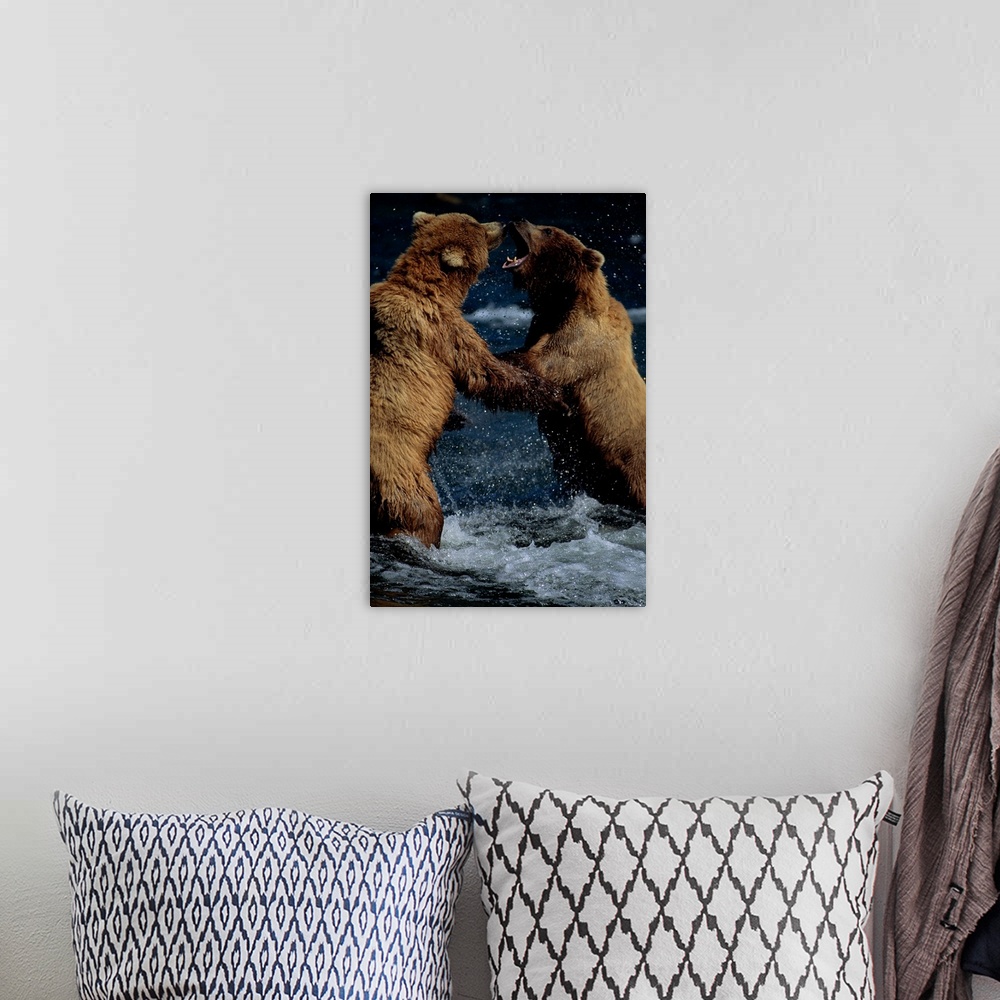 A bohemian room featuring Alaskan Brown Bears In Brooks River