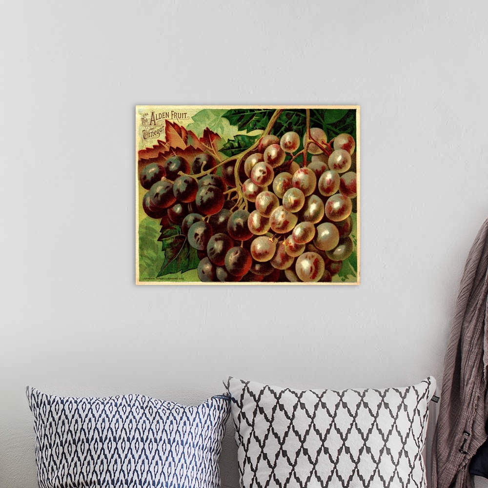 A bohemian room featuring Alden Fruit Vinegar, Grapes Postcard Advertisement