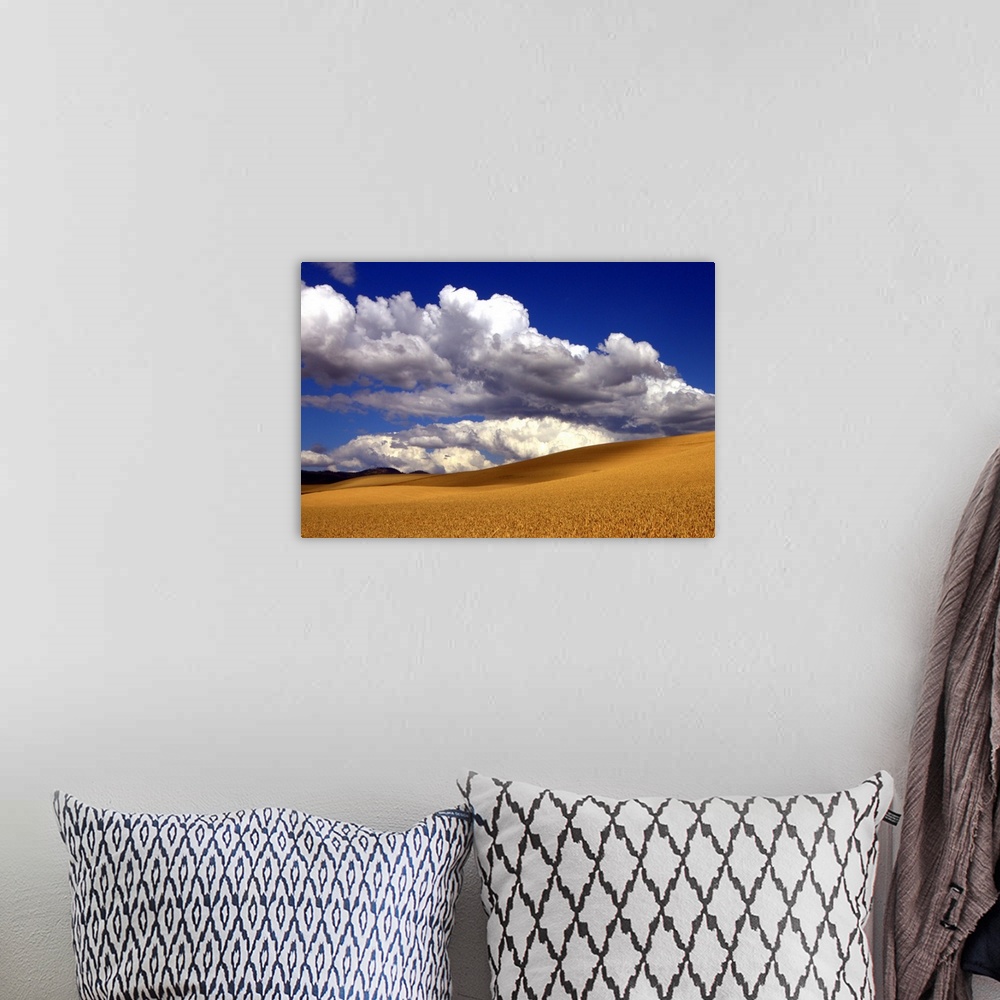A bohemian room featuring Palouse golden wheat just before harvest with large clouds.