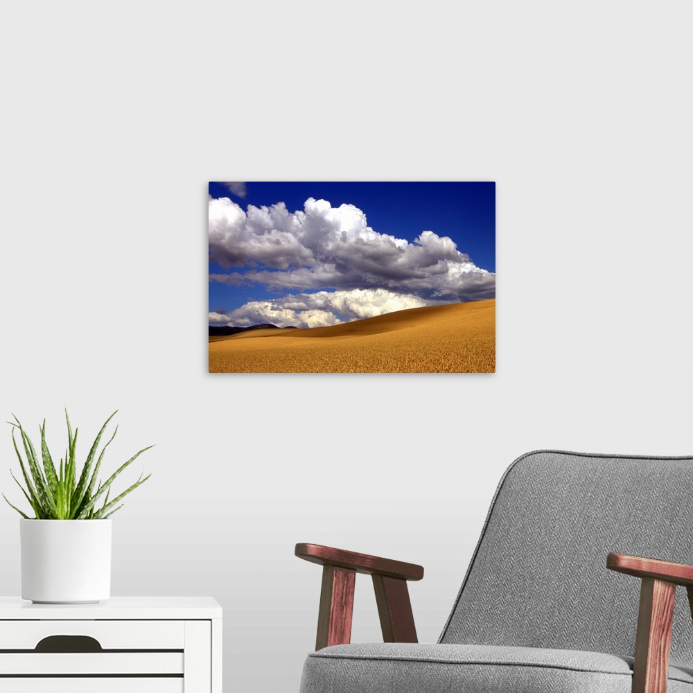 A modern room featuring Palouse golden wheat just before harvest with large clouds.