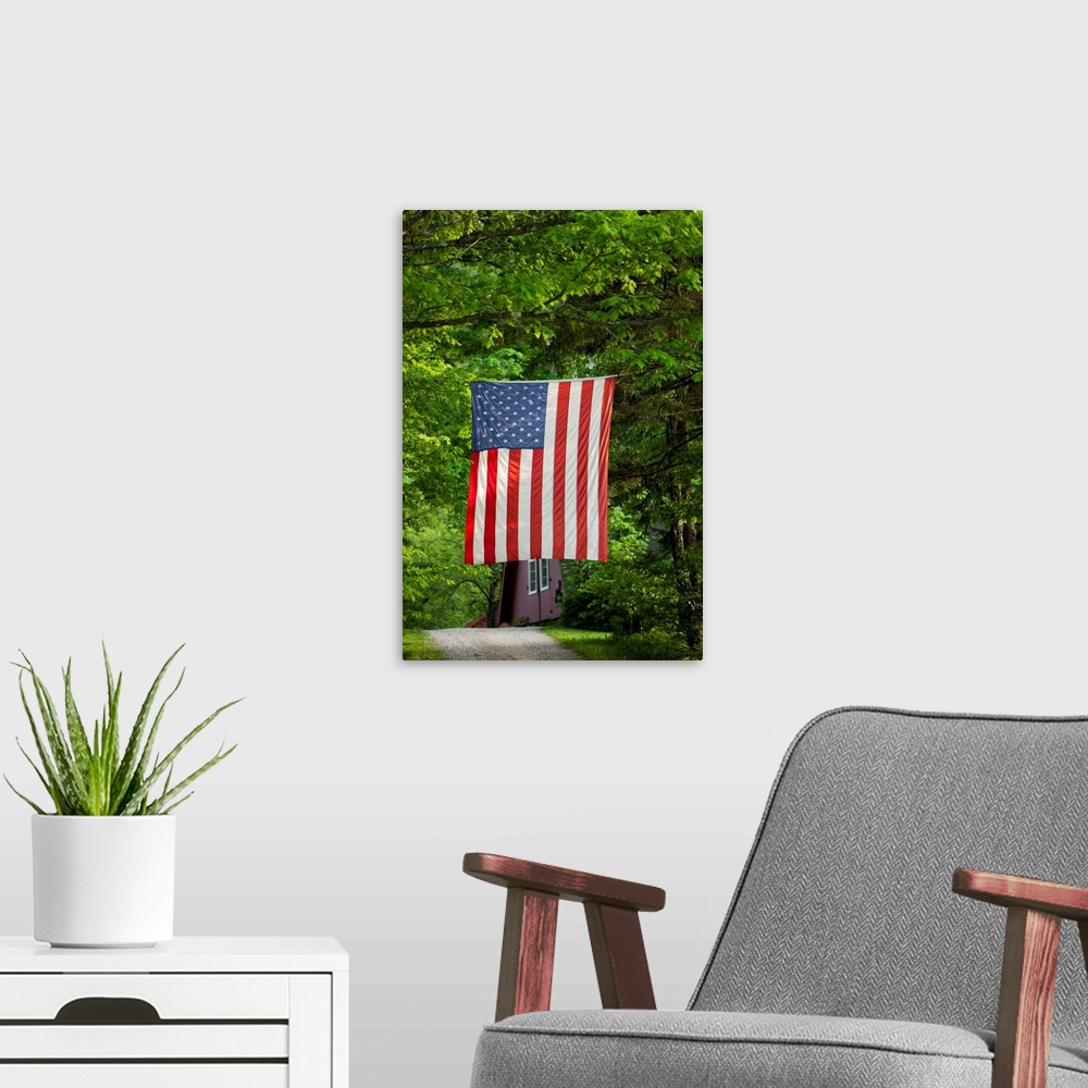 A modern room featuring An American flag hangs from trees on a spring evening. | Location: Searsburg, Vermont, USA.