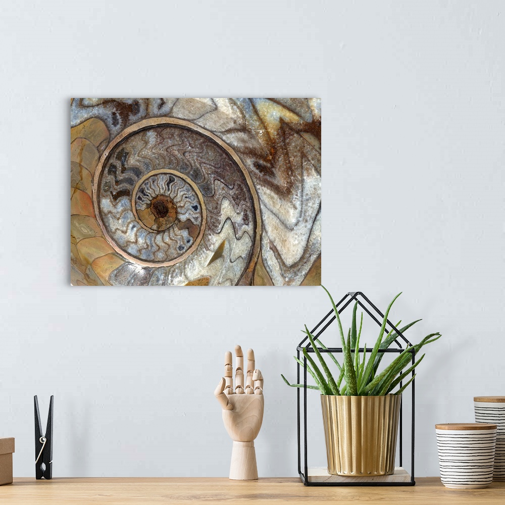 A bohemian room featuring Large artwork showing a close up view of a swirl that can be found on a shelled type fossil.