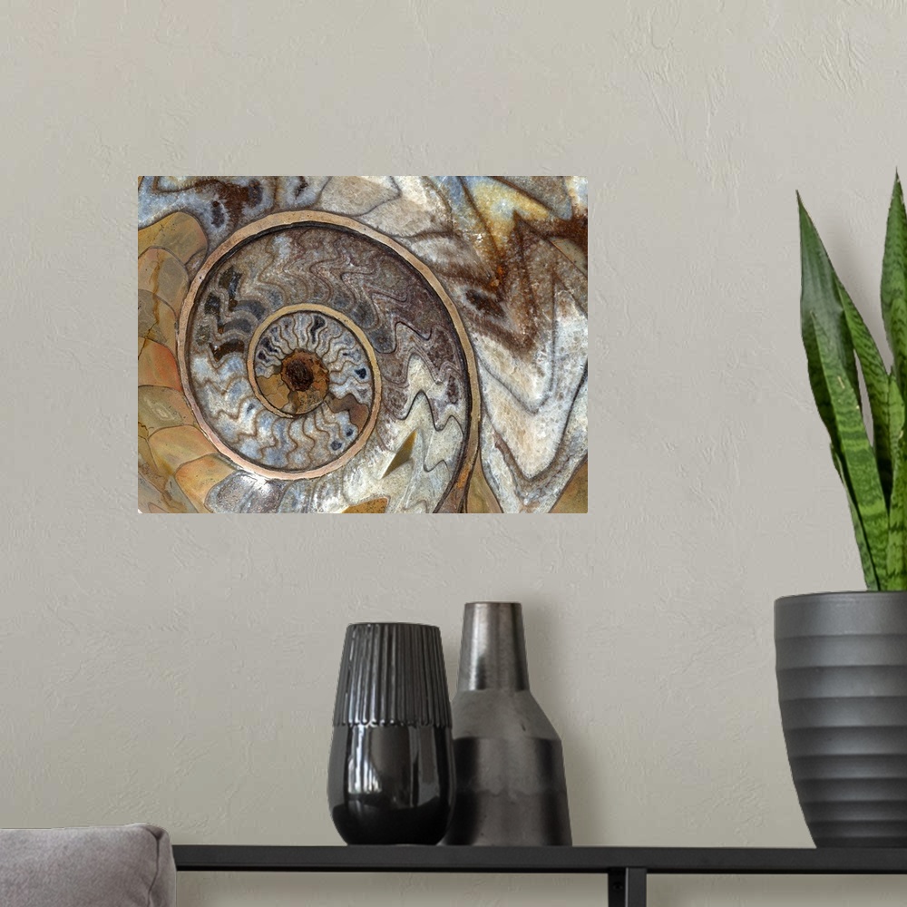 A modern room featuring Large artwork showing a close up view of a swirl that can be found on a shelled type fossil.