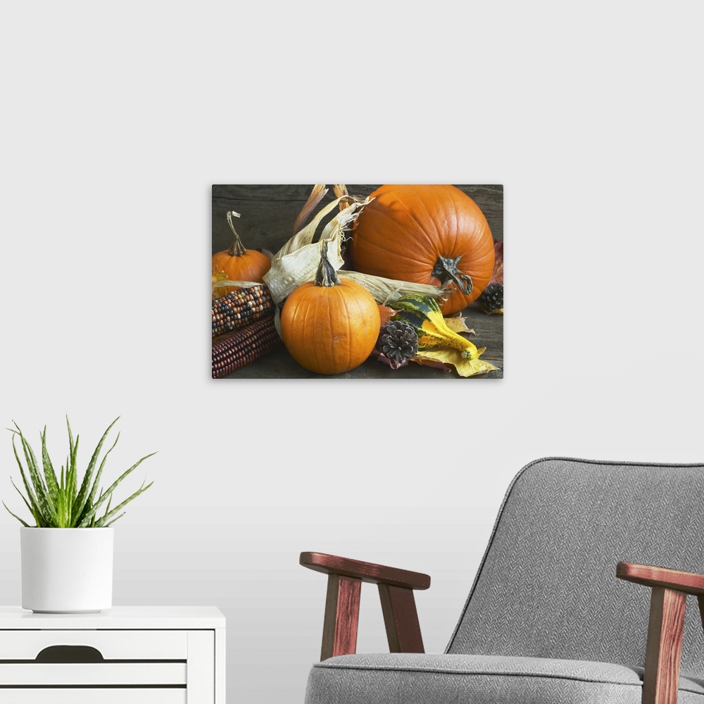 A modern room featuring An autumn arrangement of corn and pumpkins