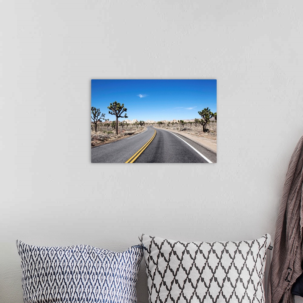 A bohemian room featuring good looking street in the middle of the dessert leading to hte horizon