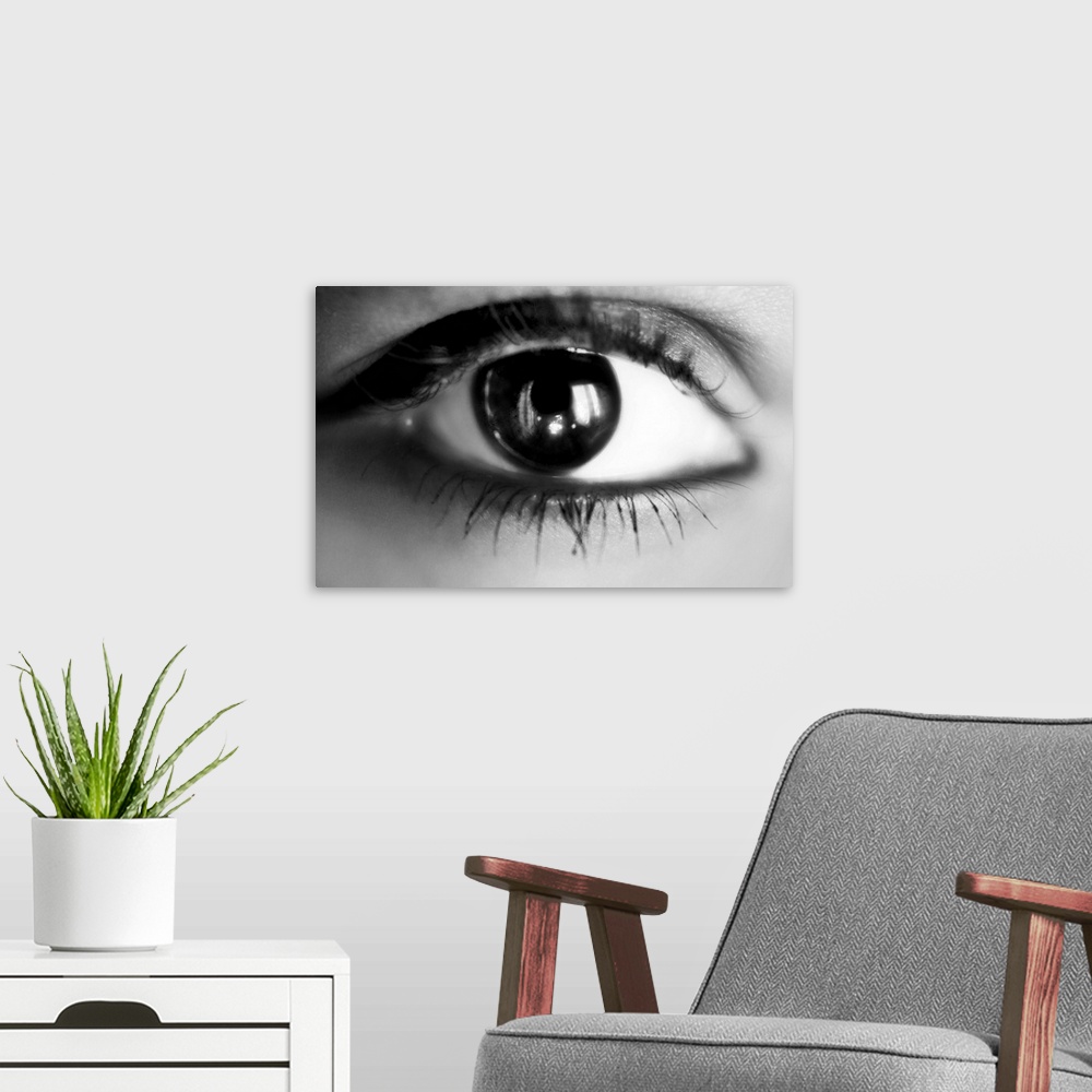 A modern room featuring macro eye girl in black and white.