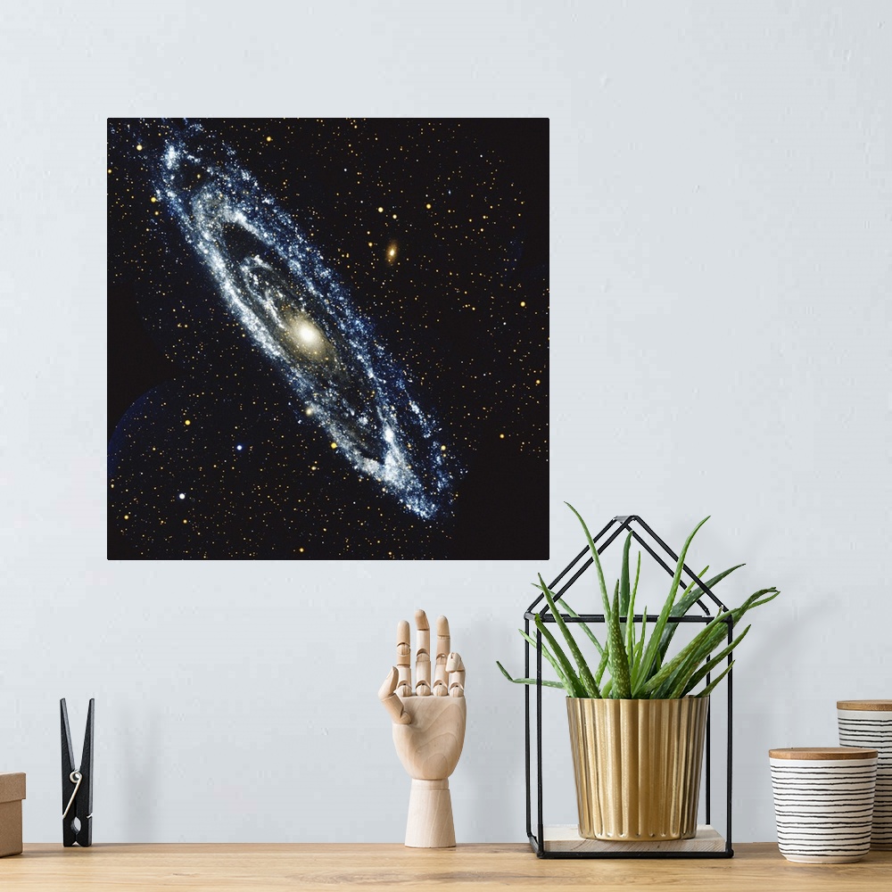 A bohemian room featuring Andromeda Galaxy