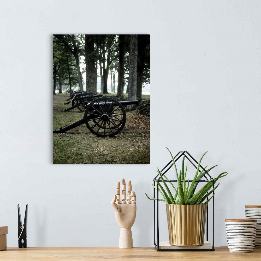 A bohemian room featuring Antique cannons in woods