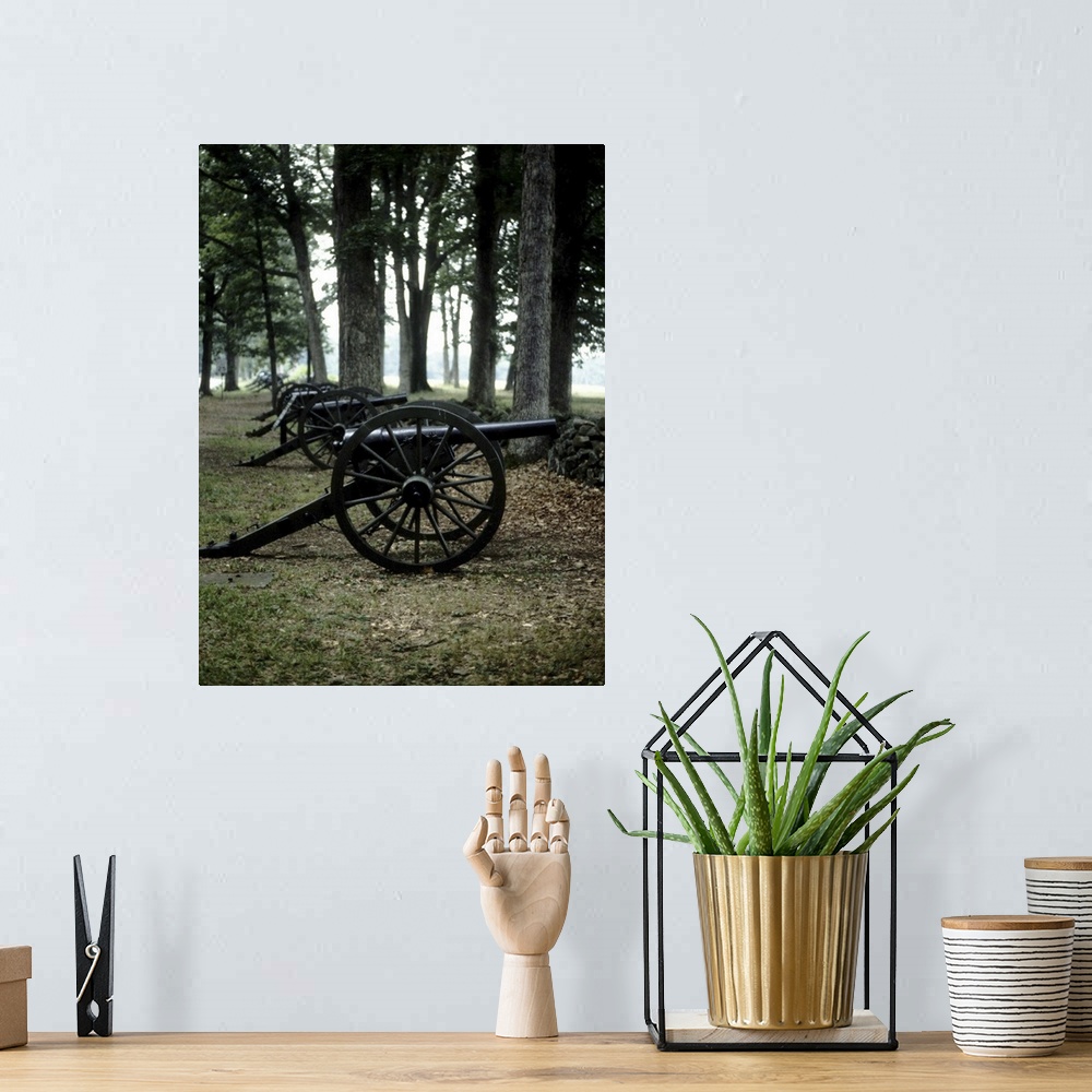 A bohemian room featuring Antique cannons in woods