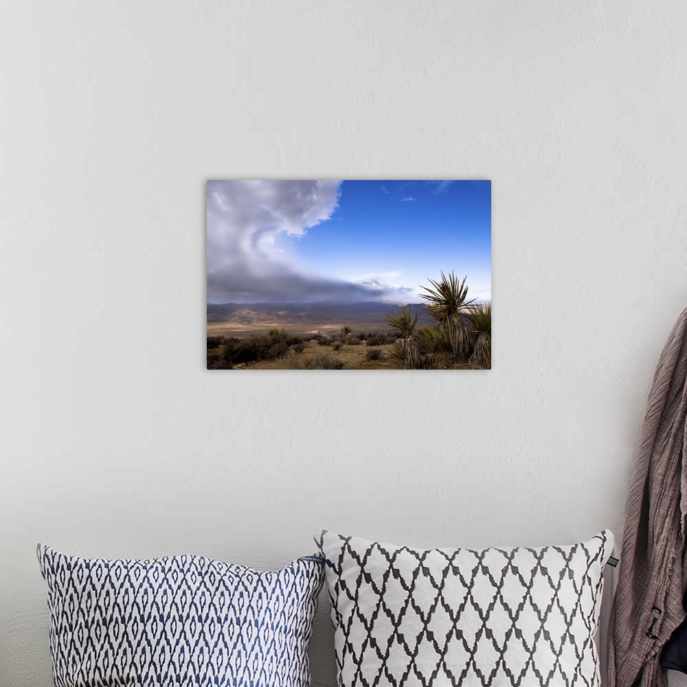 A bohemian room featuring A storm is approaching over the desert in Joshua Tree National Park. From the top of Ryan Mountai...