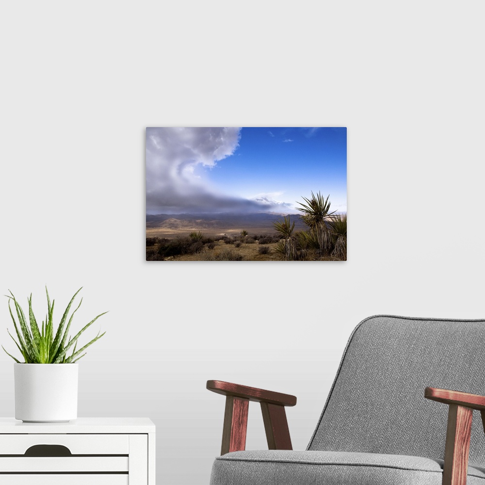 A modern room featuring A storm is approaching over the desert in Joshua Tree National Park. From the top of Ryan Mountai...