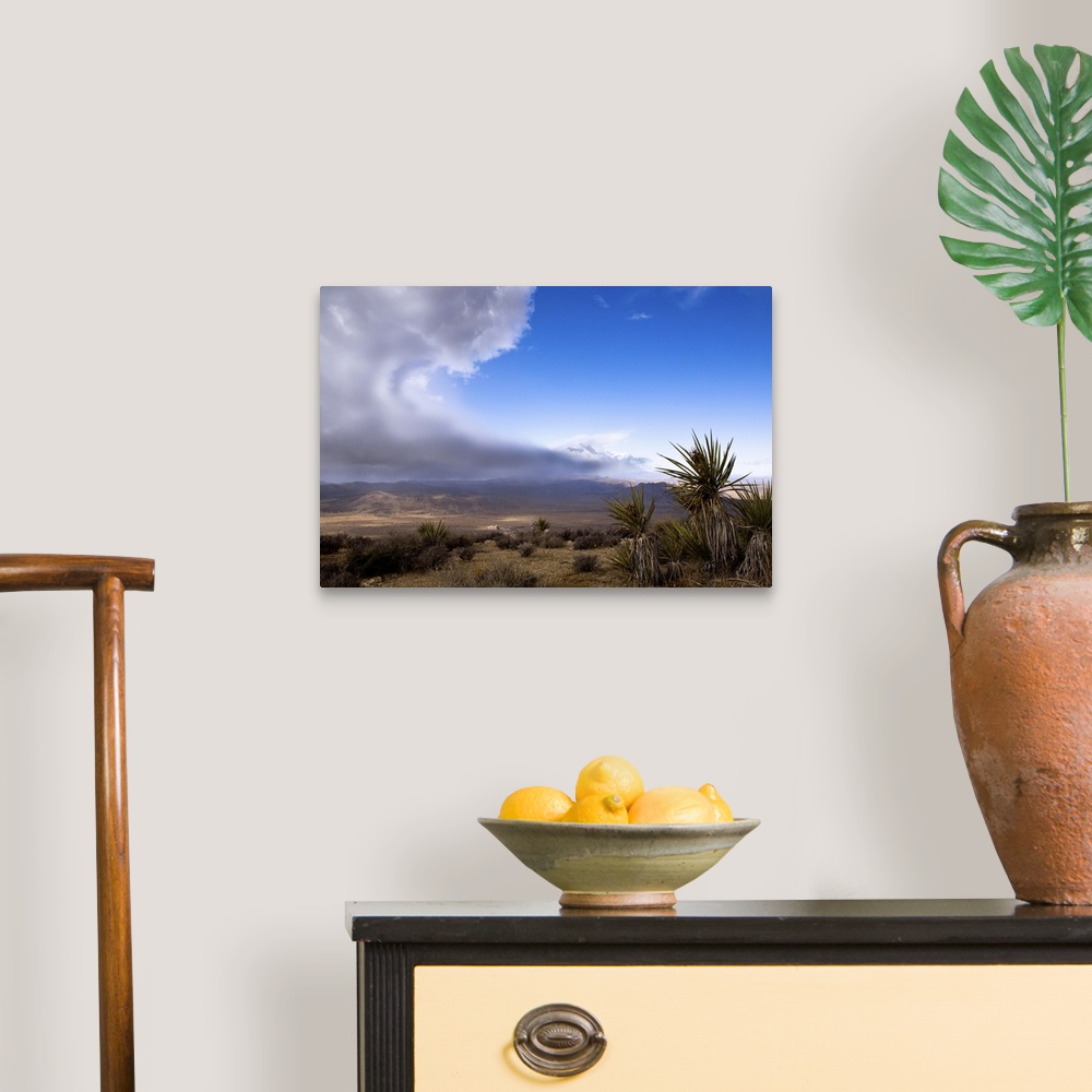 A traditional room featuring A storm is approaching over the desert in Joshua Tree National Park. From the top of Ryan Mountai...