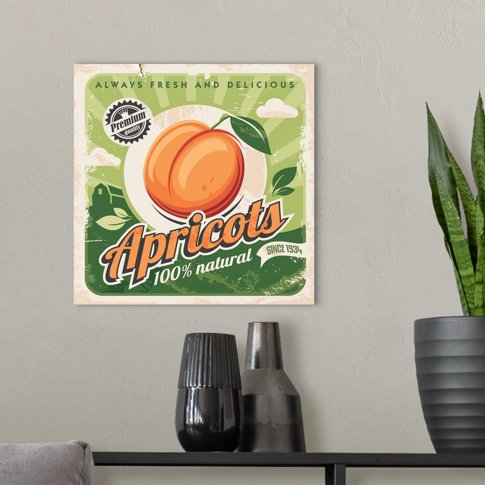 A modern room featuring Apricot