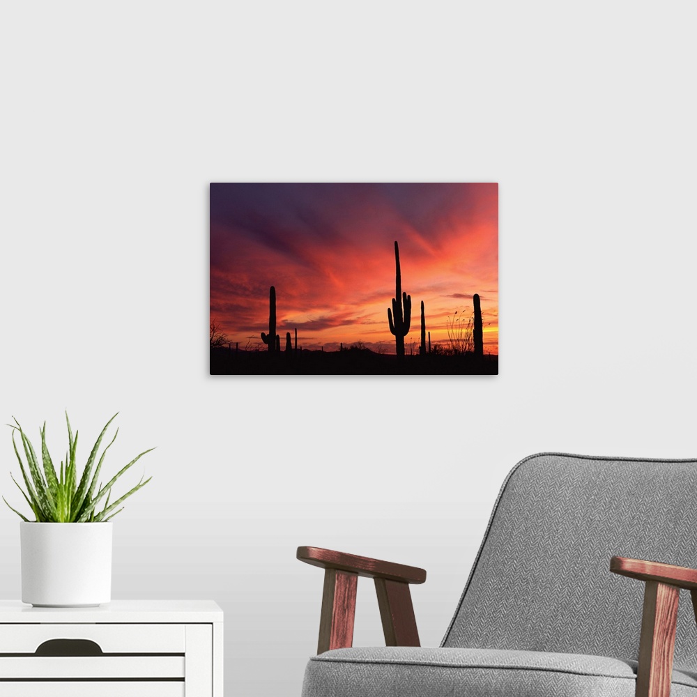 A modern room featuring Arizona sunset over saguaro cacti