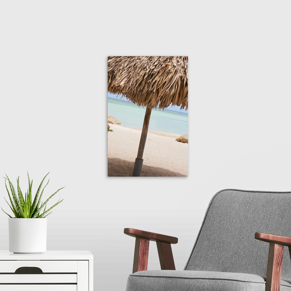 A modern room featuring Aruba, palapa on beach