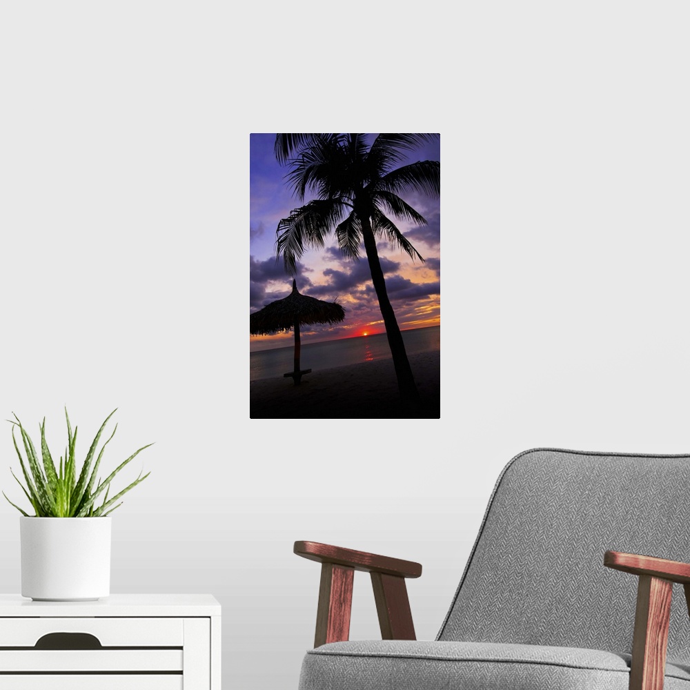 A modern room featuring Aruba, silhouette of palm tree and palapa on beach at sunset
