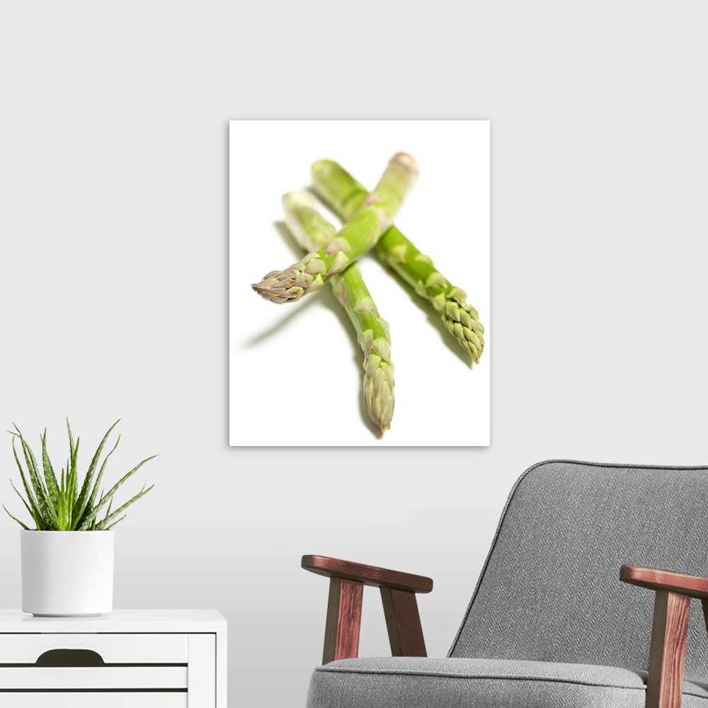 A modern room featuring Asparagus.