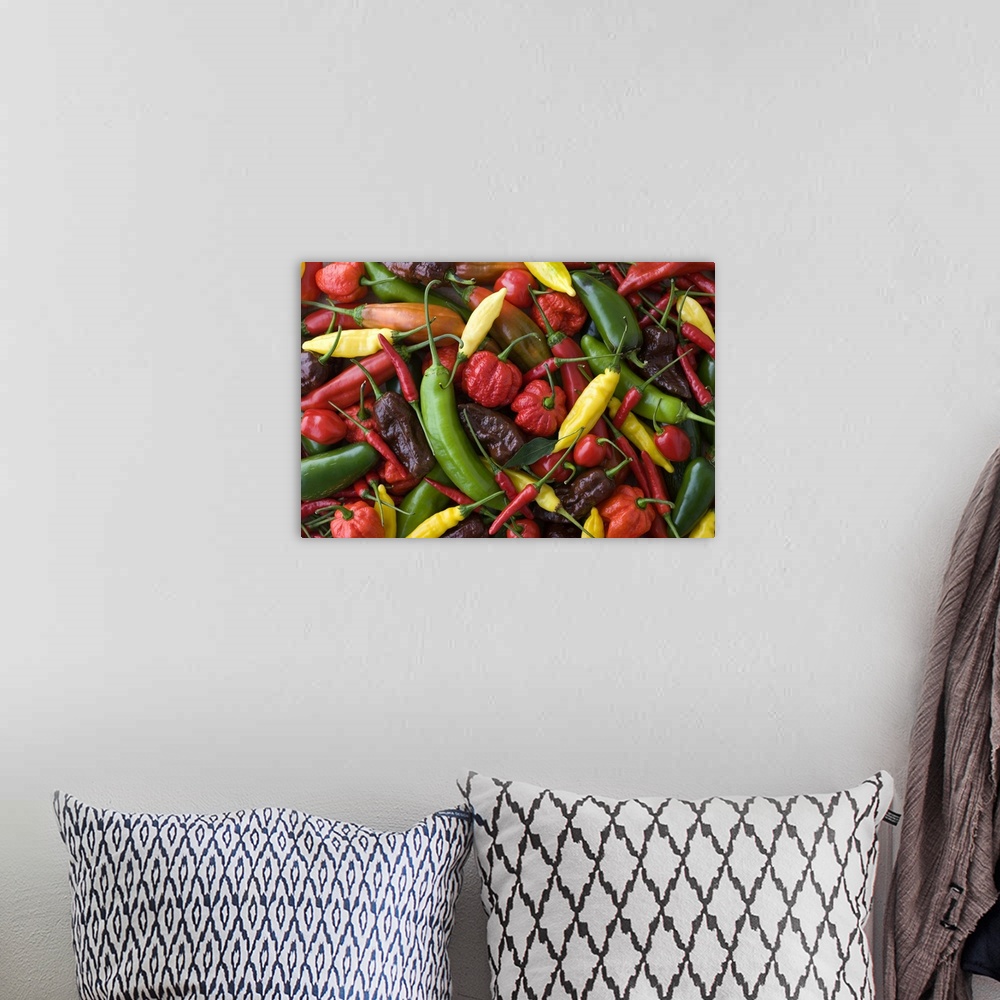 A bohemian room featuring Assorted Multicolored Chili Pepper