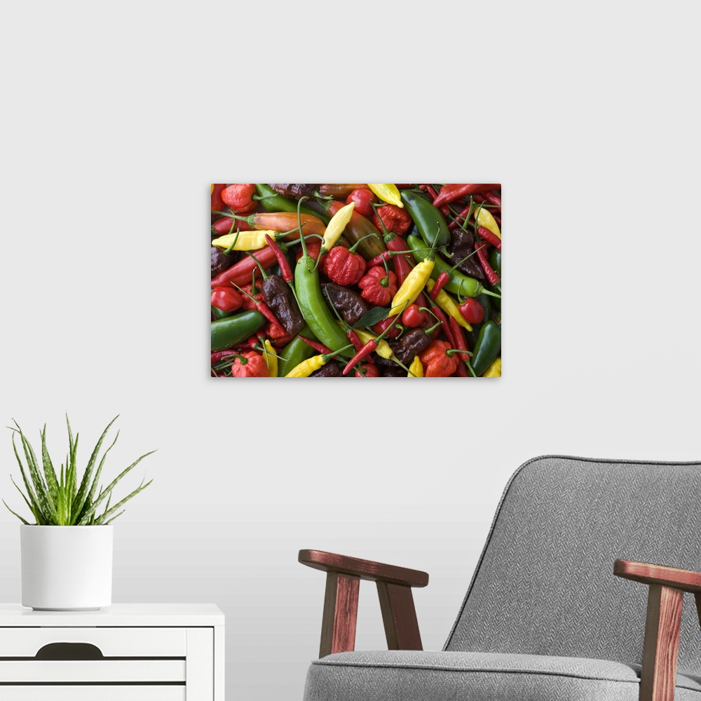 A modern room featuring Assorted Multicolored Chili Pepper