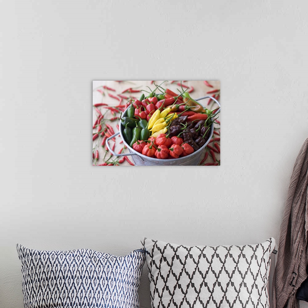 A bohemian room featuring Assorted Multicolored Chili Pepper in Bucket