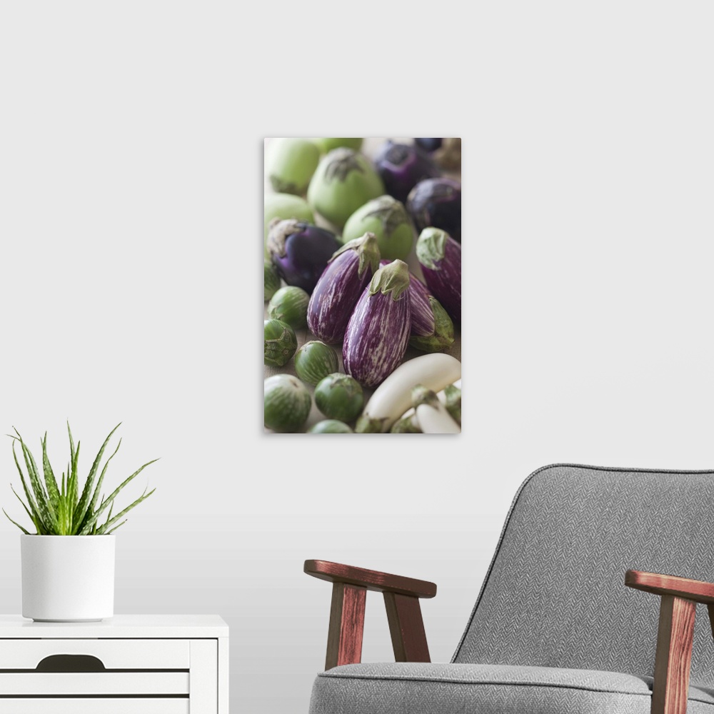A modern room featuring Assorted Multicolored Eggplant