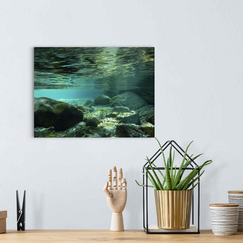 A bohemian room featuring Coral reef in underwater at Atera river.