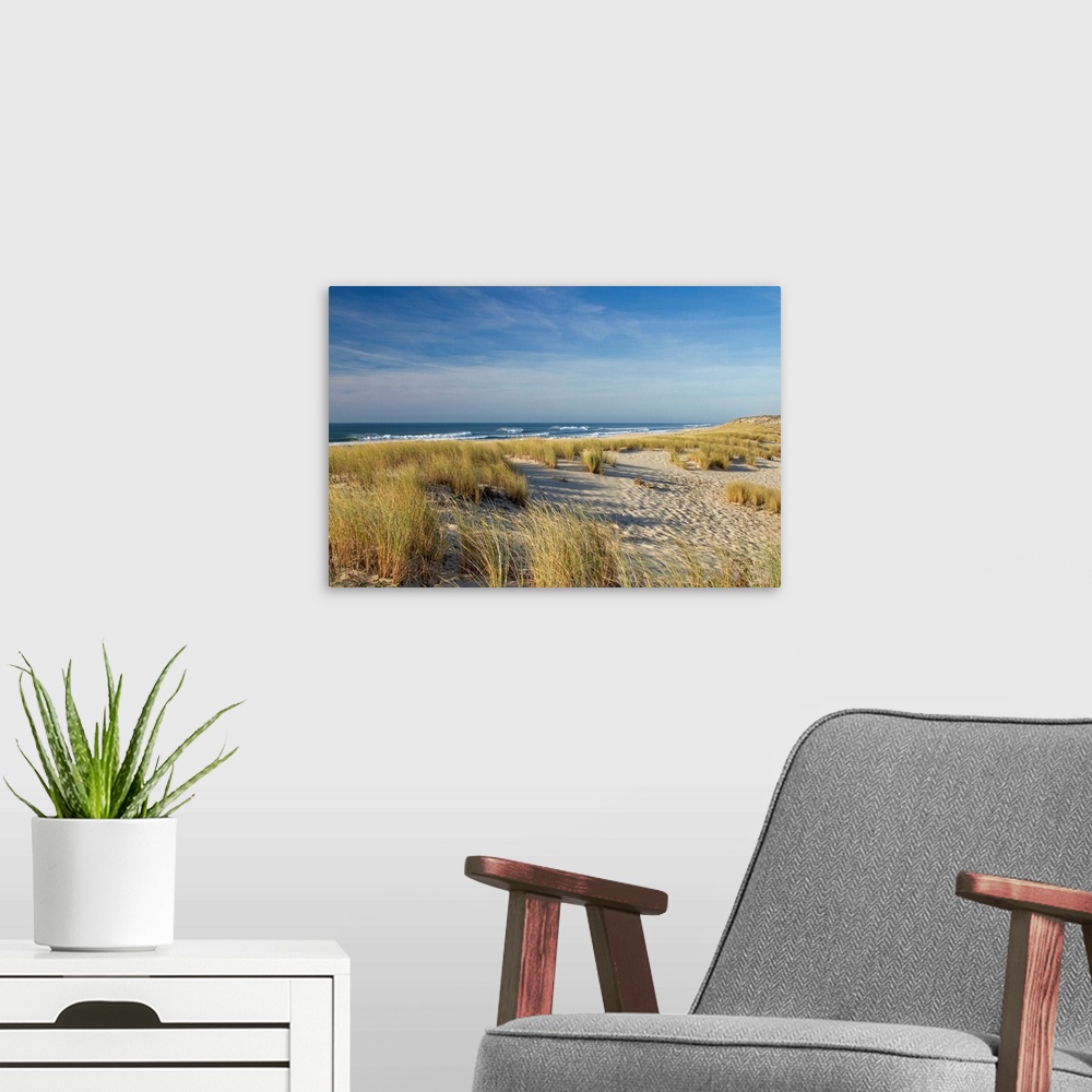 A modern room featuring Huge photograph taken from a shoreline of France displays streaks of high grass spread throughout...