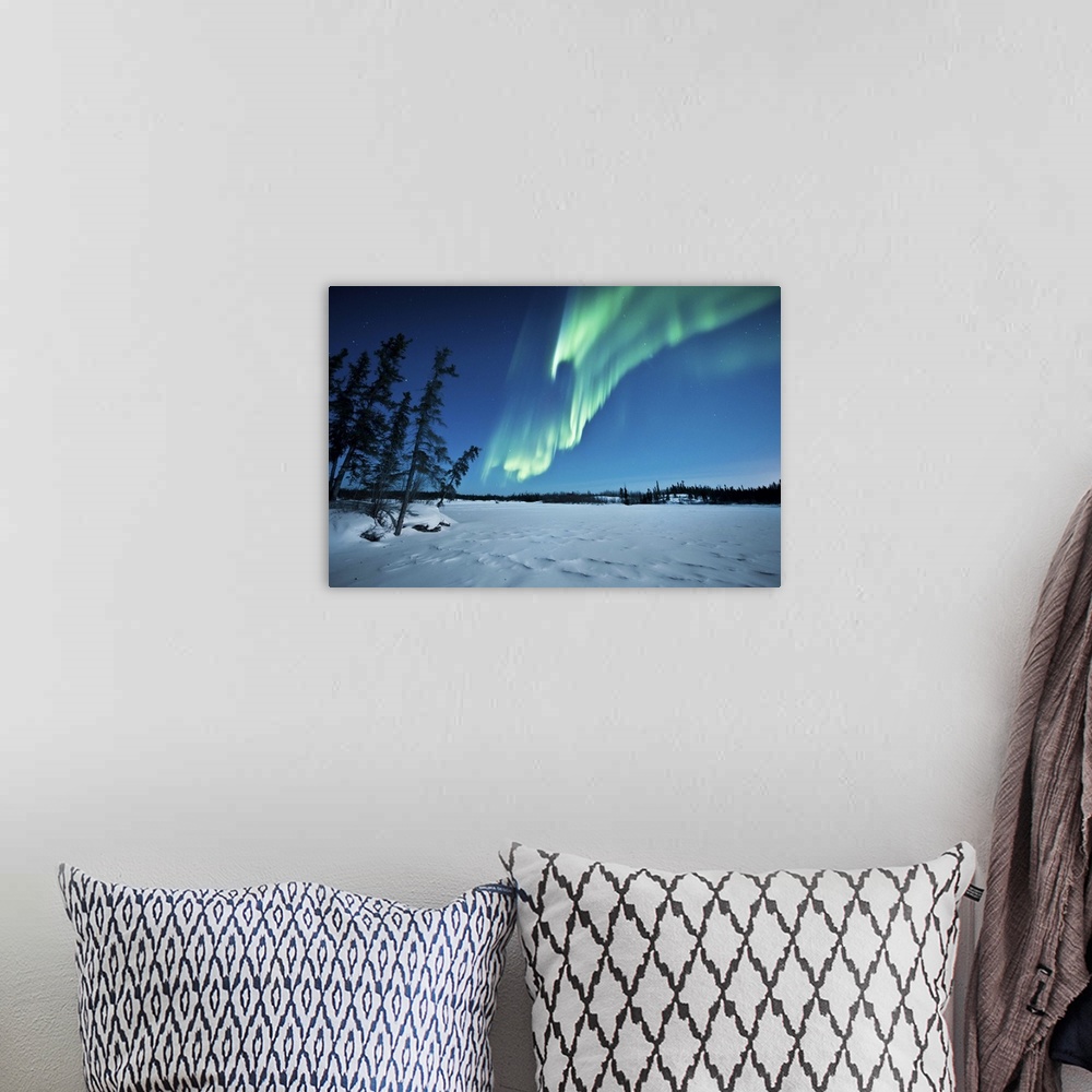 A bohemian room featuring Aurora with silhouette of trees over Walsh Lake, Northwest Territories, Canada.