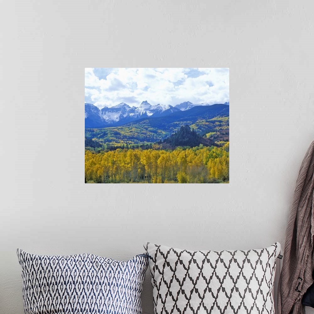 A bohemian room featuring 'Autumn colors in the Sneffels Mountain Range, Dallas Divide, San Juan National Forest, Colorado'