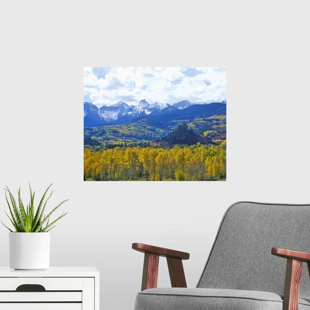 A modern room featuring 'Autumn colors in the Sneffels Mountain Range, Dallas Divide, San Juan National Forest, Colorado'