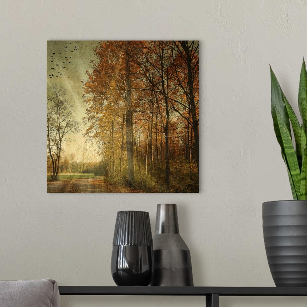 A modern room featuring Photograph of leaf covered path winding around bright fall forest with sun rays glowing in a bird...