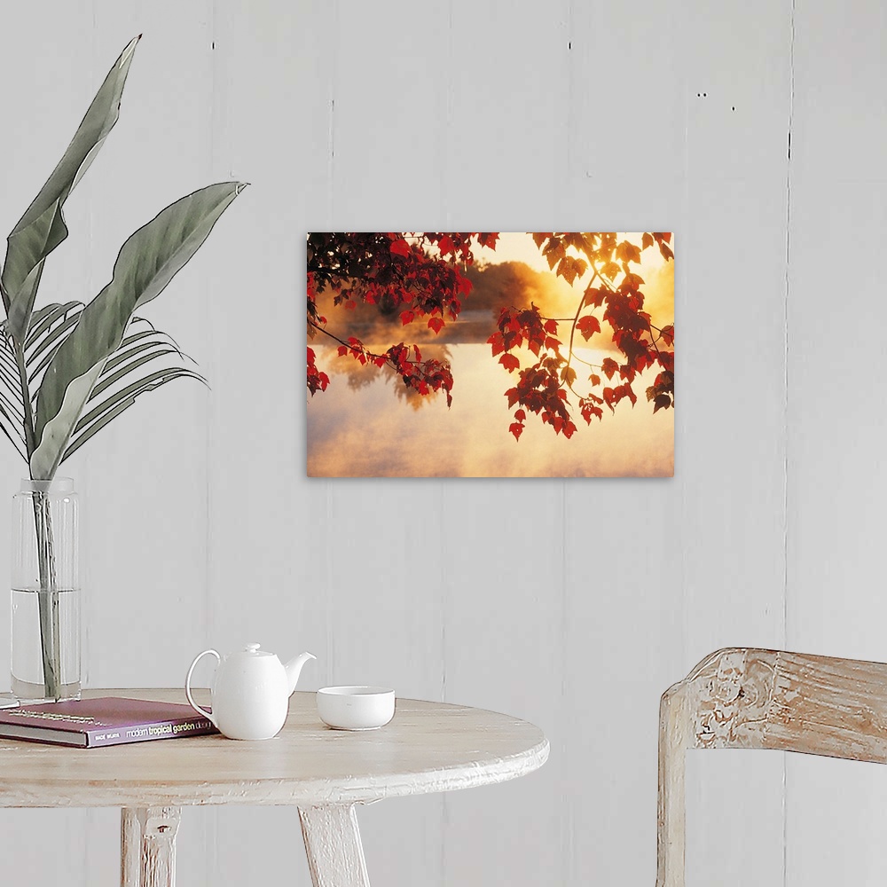 A farmhouse room featuring Landscape wall art of autumn leaves hanging off a tree while mist rises off a pond in the morning...