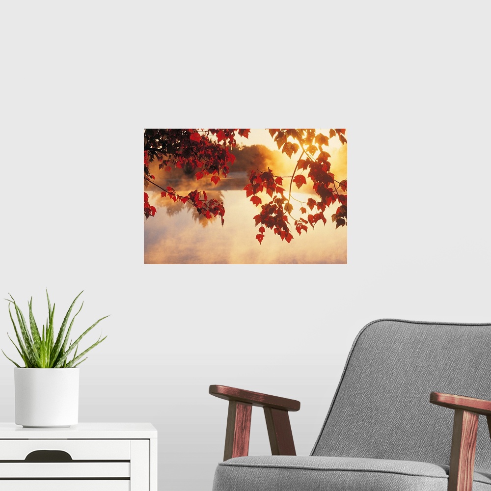 A modern room featuring Landscape wall art of autumn leaves hanging off a tree while mist rises off a pond in the morning...