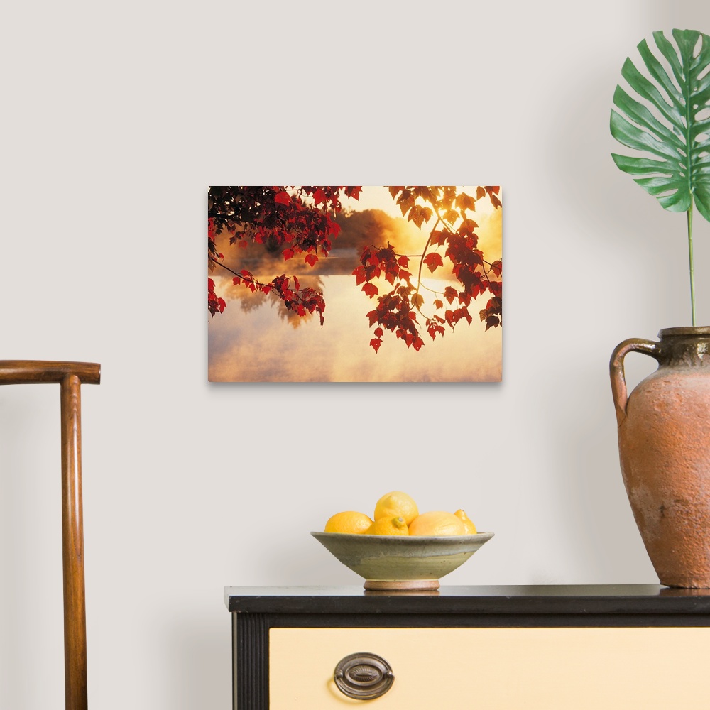 A traditional room featuring Landscape wall art of autumn leaves hanging off a tree while mist rises off a pond in the morning...