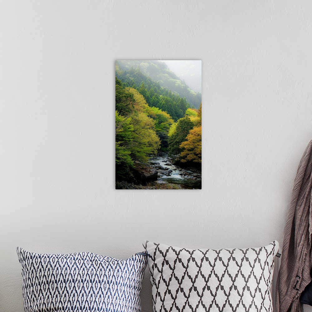 A bohemian room featuring Autumn mountain with stream in Shinshiro, Japan.