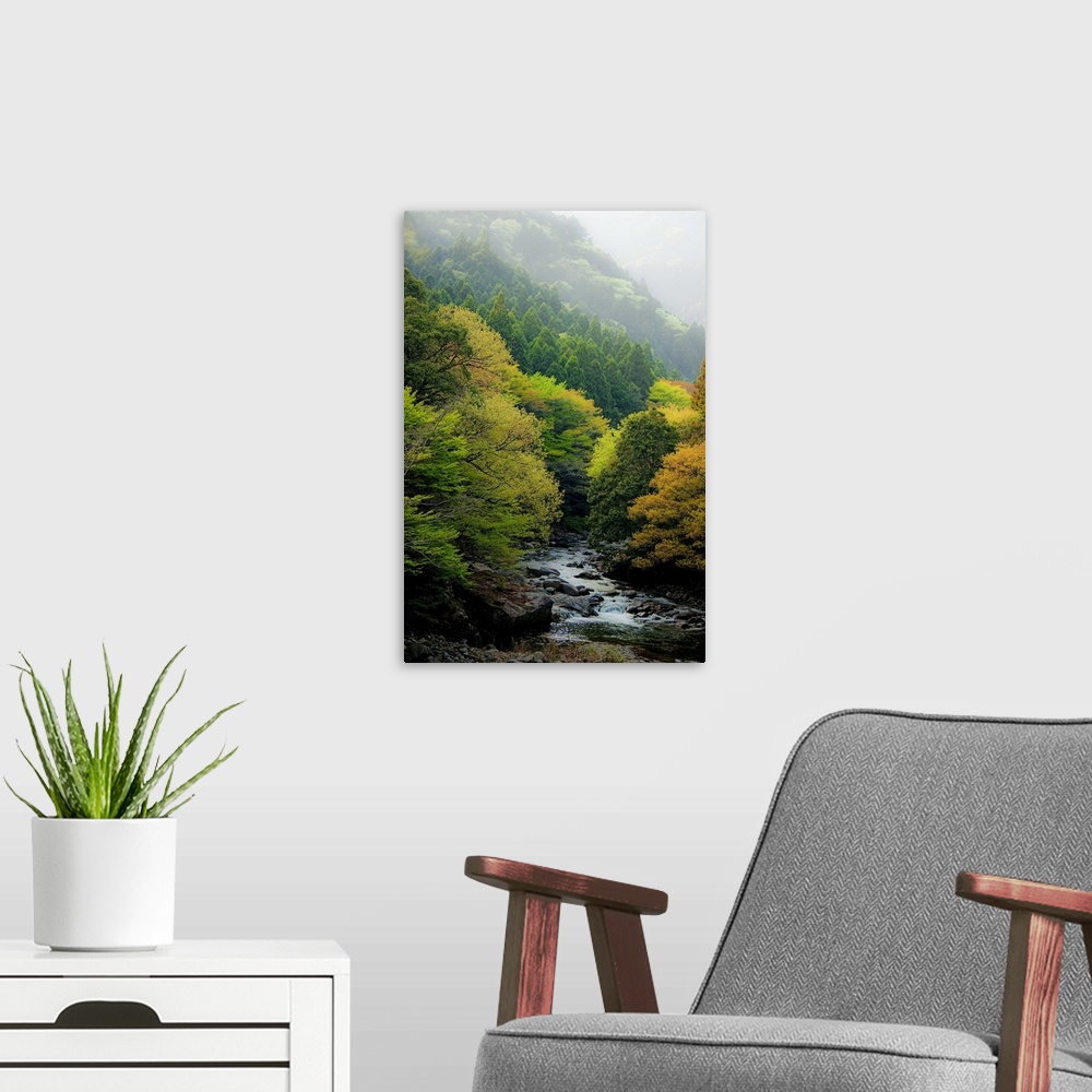 A modern room featuring Autumn mountain with stream in Shinshiro, Japan.