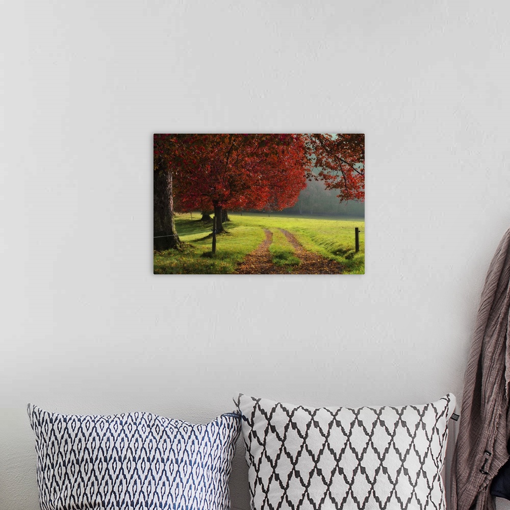 A bohemian room featuring Autumn trees in garden.