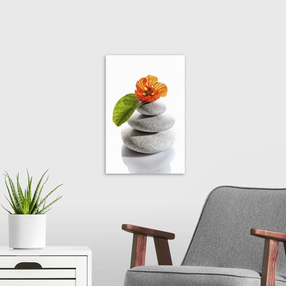 A modern room featuring Balanced stones and red flower