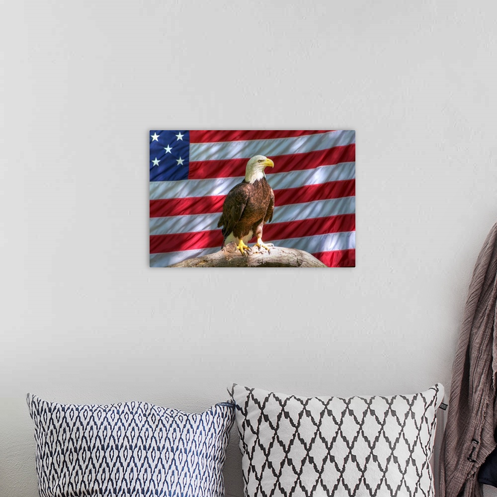 A bohemian room featuring Bald eagle perching on tree trunk and American flag in background.