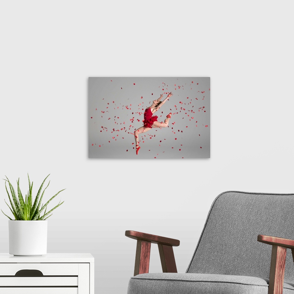 A modern room featuring Ballet dancer happily jumping, jete, through red flower petals, in studio